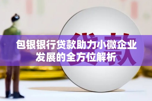 安南包银银行贷款助力小微企业发展的全方位解析