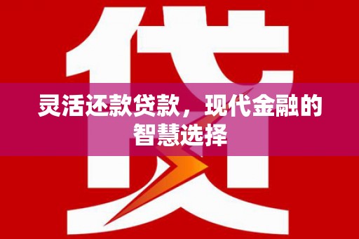 安南灵活还款贷款，现代金融的智慧选择
