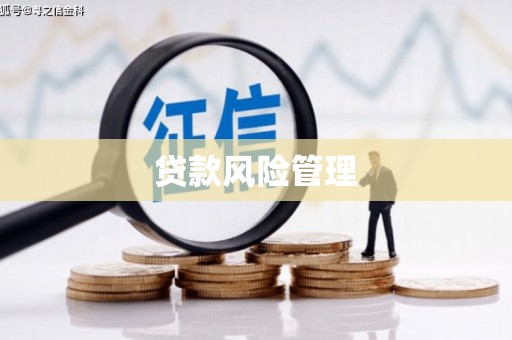 安南贷款风险管理