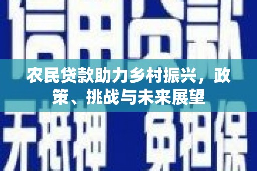 安南农民贷款助力乡村振兴，政策、挑战与未来展望