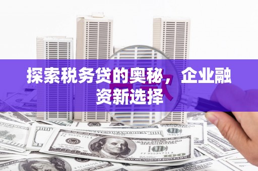 安南探索税务贷的奥秘，企业融资新选择