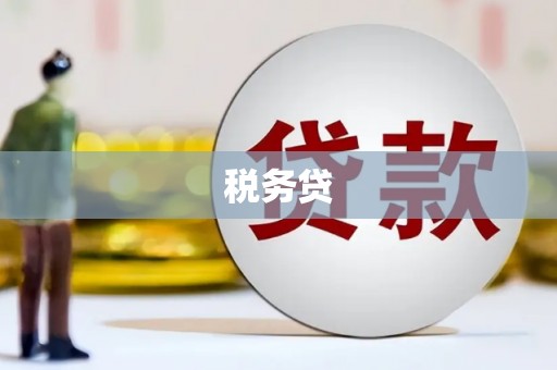安南税务贷