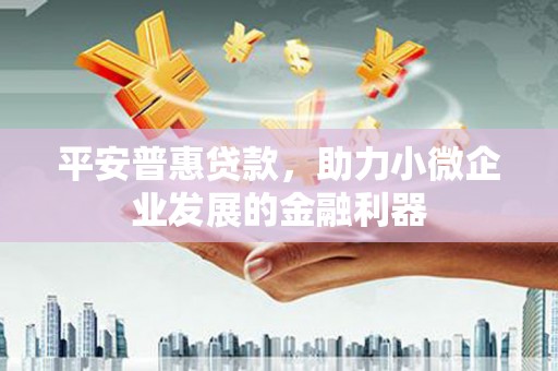 安南平安普惠贷款，助力小微企业发展的金融利器