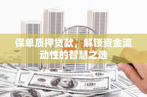 安南保单质押贷款，解锁资金流动性的智慧之选