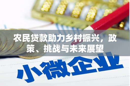 安南农民贷款助力乡村振兴，政策、挑战与未来展望