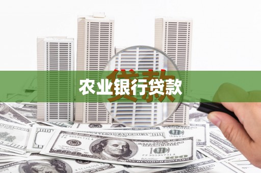 安南农业银行贷款