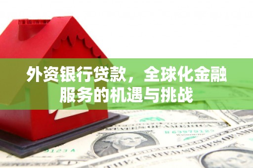 安南外资银行贷款，全球化金融服务的机遇与挑战