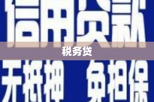 安南税务贷