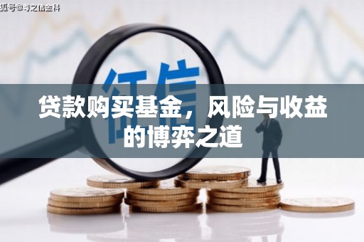 安南贷款购买基金，风险与收益的博弈之道