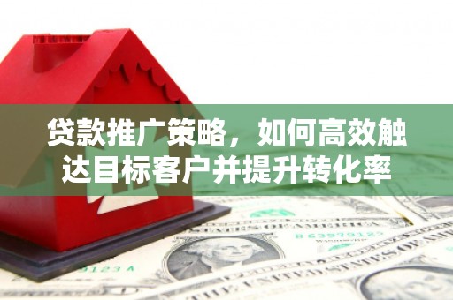 安南贷款推广策略，如何高效触达目标客户并提升转化率