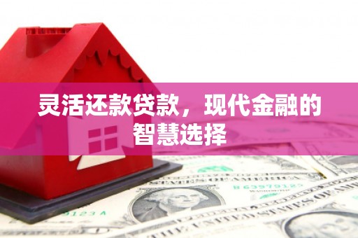安南灵活还款贷款，现代金融的智慧选择