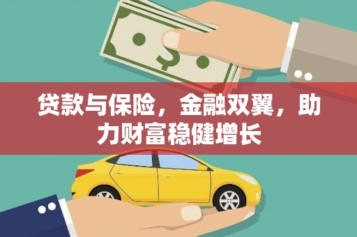 安南贷款与保险，金融双翼，助力财富稳健增长