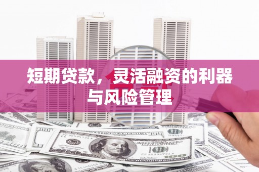 安南短期贷款，灵活融资的利器与风险管理