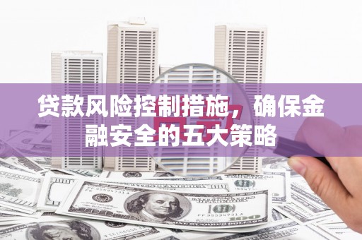 安南贷款风险控制措施，确保金融安全的五大策略