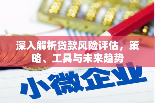安南深入解析贷款风险评估，策略、工具与未来趋势