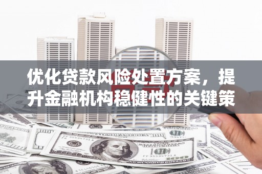 安南优化贷款风险处置方案，提升金融机构稳健性的关键策略