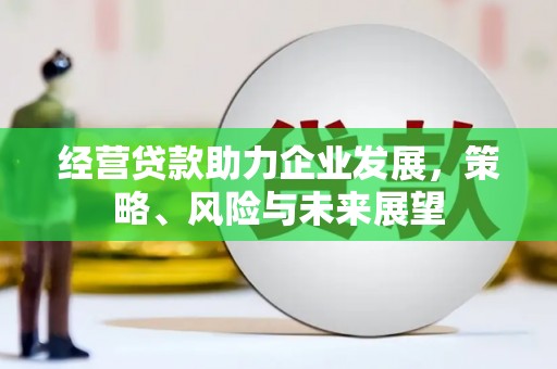 安南经营贷款助力企业发展，策略、风险与未来展望