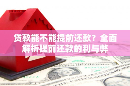 安南贷款能不能提前还款？全面解析提前还款的利与弊