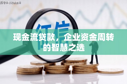 安南现金流贷款，企业资金周转的智慧之选