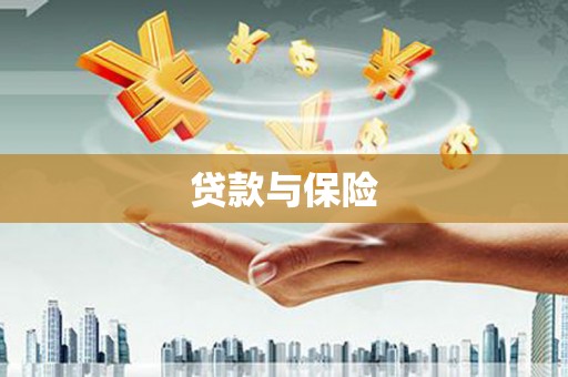 安南贷款与保险