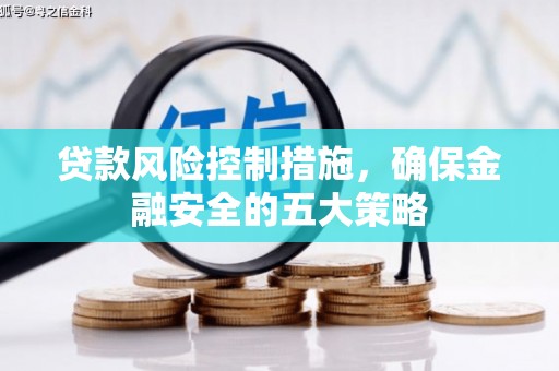 安南贷款风险控制措施，确保金融安全的五大策略