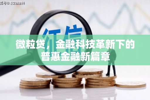 安南微粒贷，金融科技革新下的普惠金融新篇章