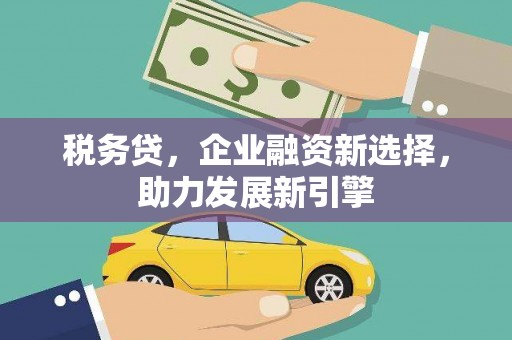 安南税务贷，企业融资新选择，助力发展新引擎
