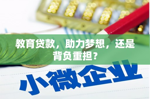 安南教育贷款，助力梦想，还是背负重担？