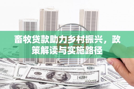 安南畜牧贷款助力乡村振兴，政策解读与实施路径