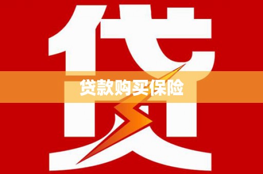 安南贷款购买保险