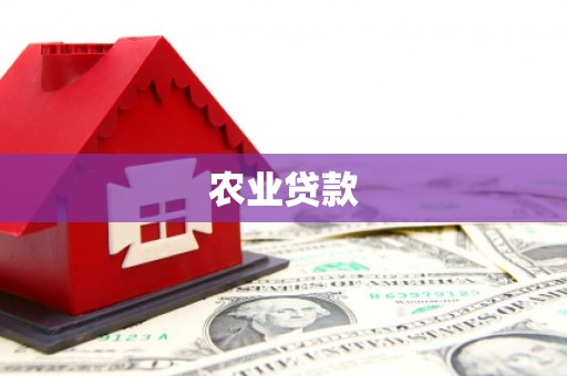 安南农业贷款