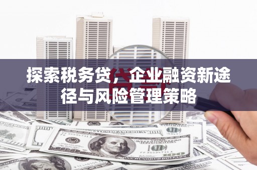 安南探索税务贷，企业融资新途径与风险管理策略