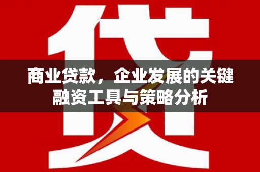 安南商业贷款，企业发展的关键融资工具与策略分析