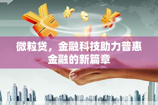 安南微粒贷，金融科技助力普惠金融的新篇章