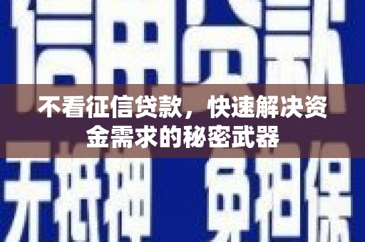 安南不看征信贷款，快速解决资金需求的秘密武器