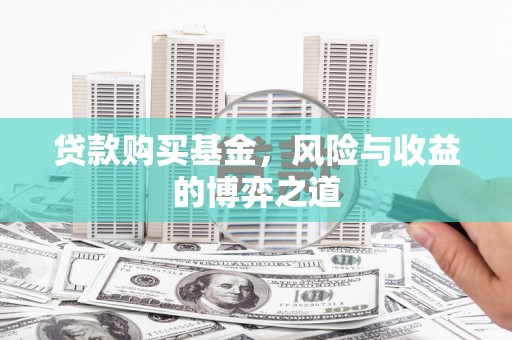 安南贷款购买基金，风险与收益的博弈之道