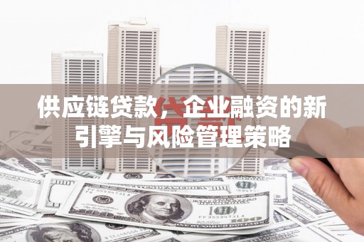 安南供应链贷款，企业融资的新引擎与风险管理策略