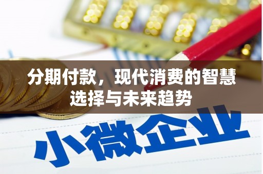 安南分期付款，现代消费的智慧选择与未来趋势