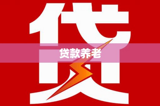 安南贷款养老