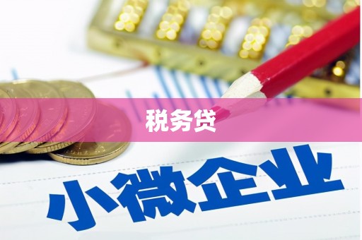 安南税务贷