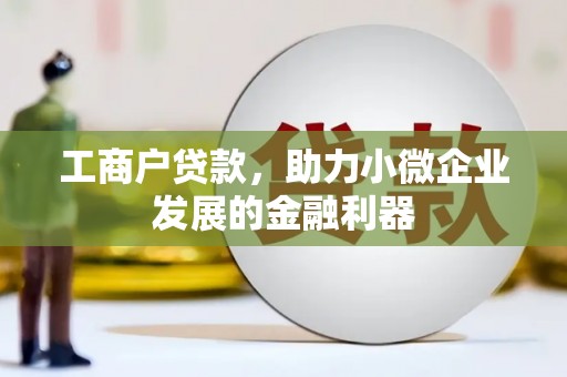 安南工商户贷款，助力小微企业发展的金融利器