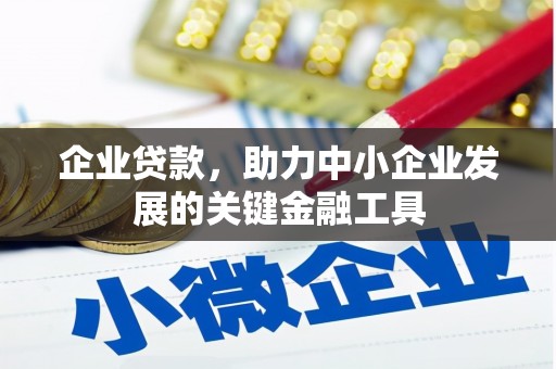 安南企业贷款，助力中小企业发展的关键金融工具