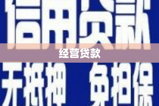 安南经营贷款