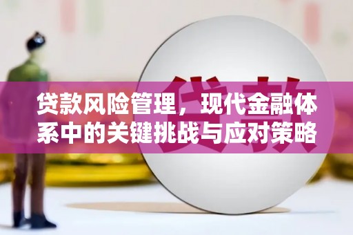 安南贷款风险管理，现代金融体系中的关键挑战与应对策略