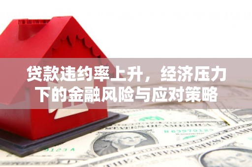 安南贷款违约率上升，经济压力下的金融风险与应对策略
