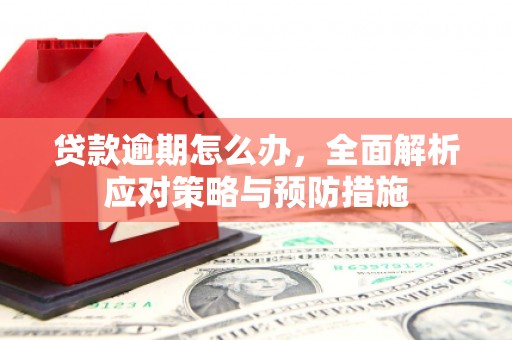 安南贷款逾期怎么办，全面解析应对策略与预防措施
