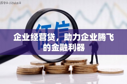 安南企业经营贷，助力企业腾飞的金融利器