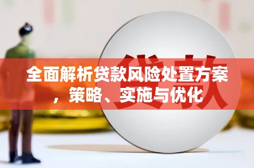 安南全面解析贷款风险处置方案，策略、实施与优化