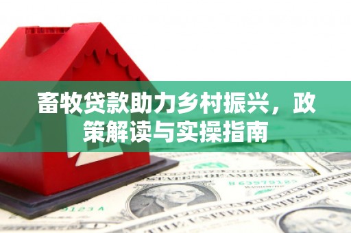 安南畜牧贷款助力乡村振兴，政策解读与实操指南