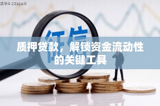 安南质押贷款，解锁资金流动性的关键工具